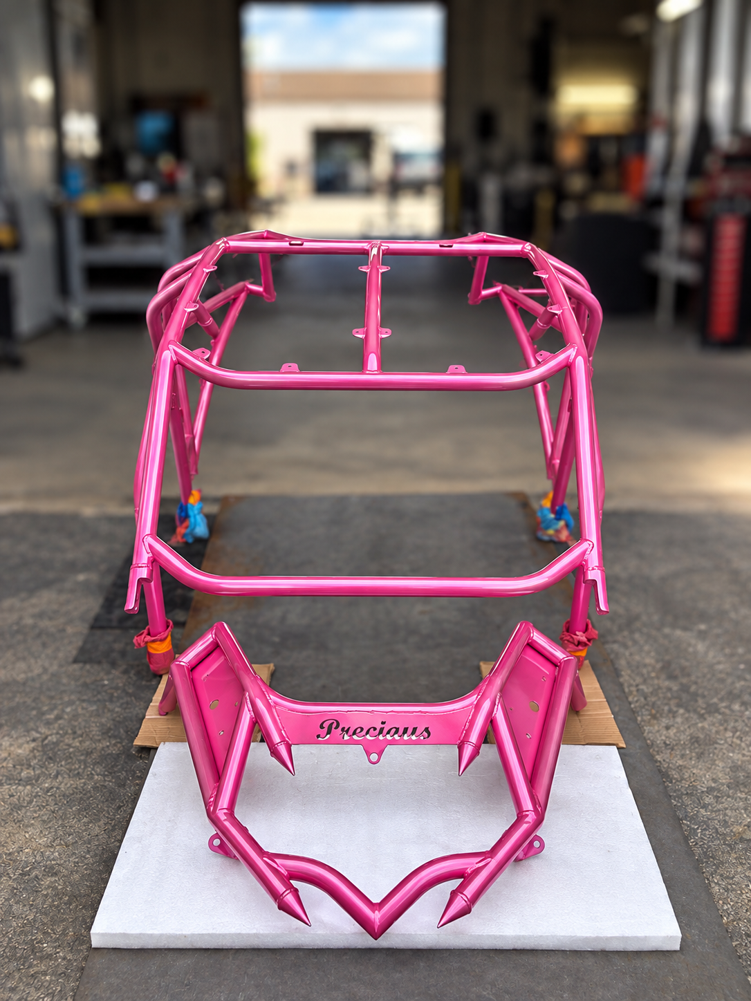 Cosmic Passion Prismatic powder coated UTV roll cage — specialty finish NWI